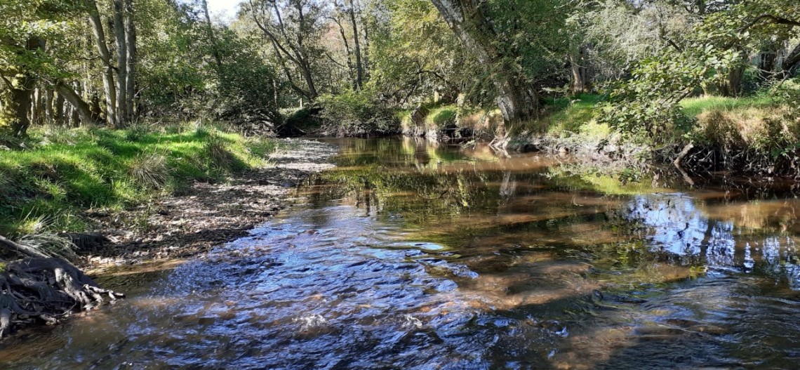 Clywedog - JA from Rhayader